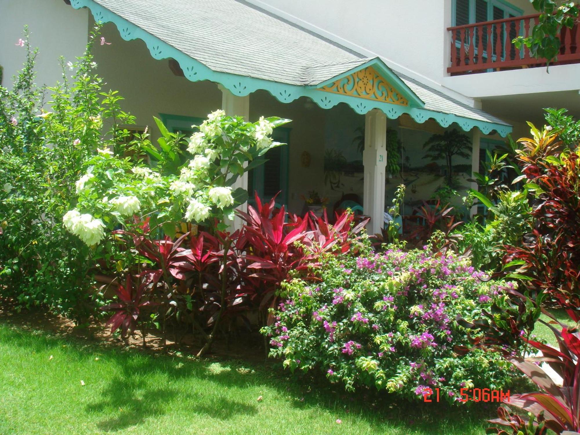 Hotel Playa Colibri Las Terrenas Zewnętrze zdjęcie